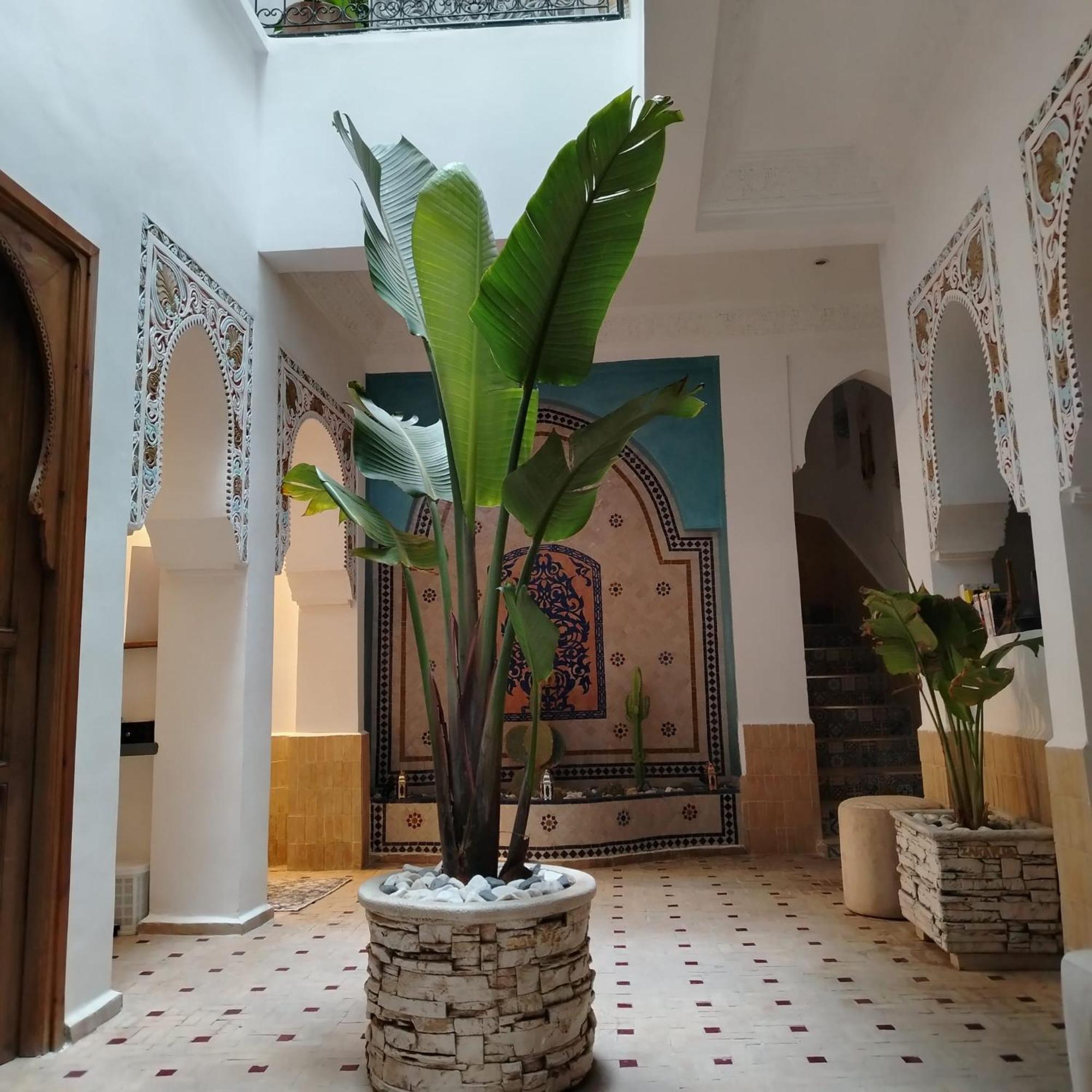 Riad & Spa Sous Le Soleil Chez Jerome Et Pamela Ch Marrakchi Марракеш Экстерьер фото